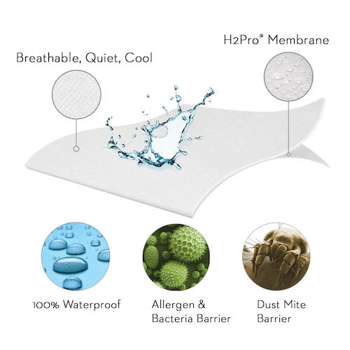 allergen protection from mattress encasement