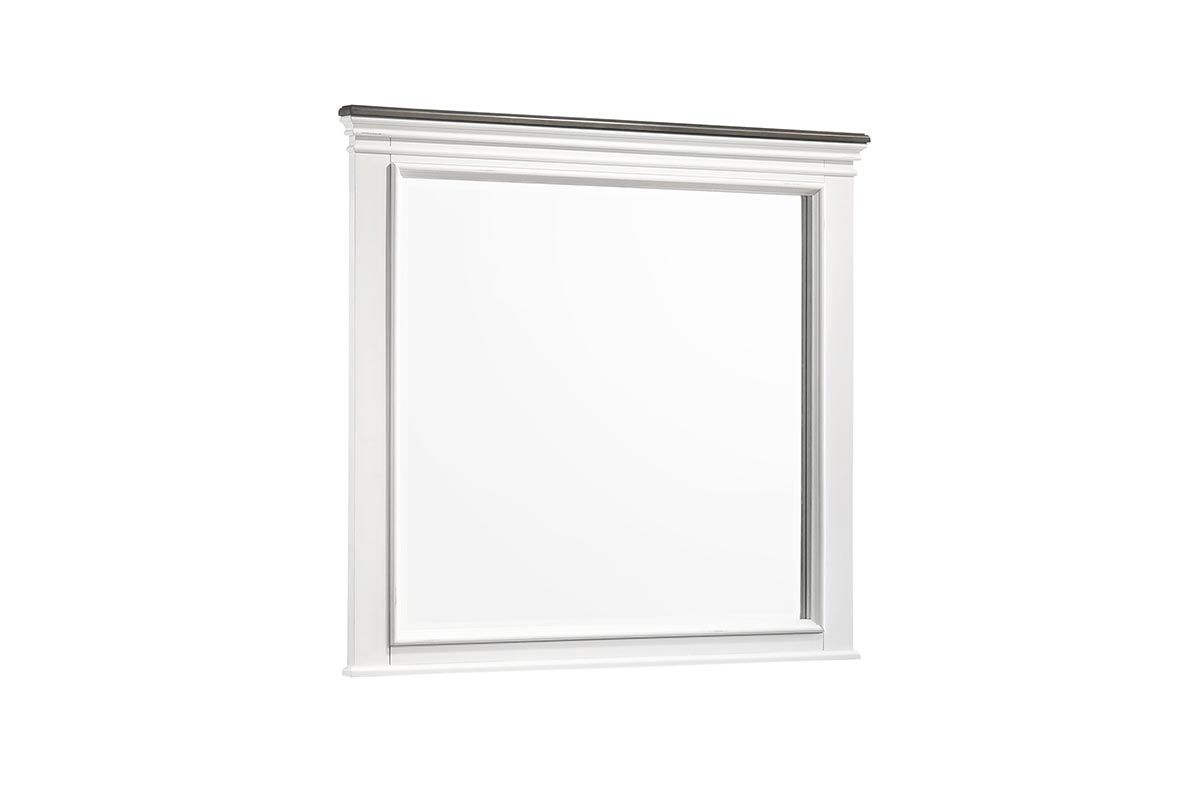Parkdale Mirror