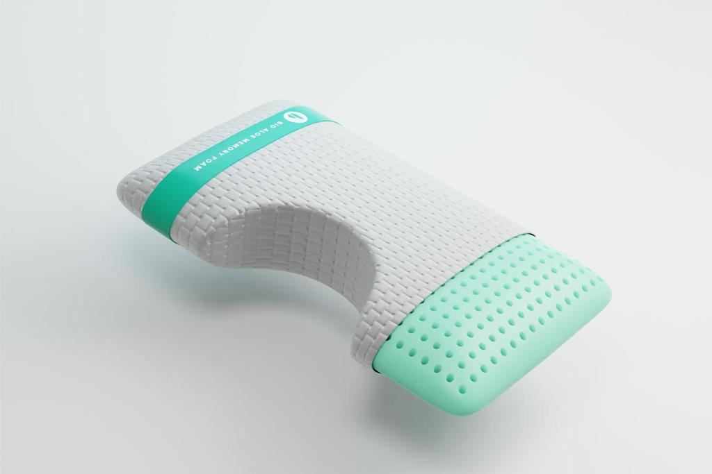 Bio Aloe Memory Foam Surround Pillow