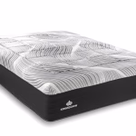 Augusto Plush Hybrid